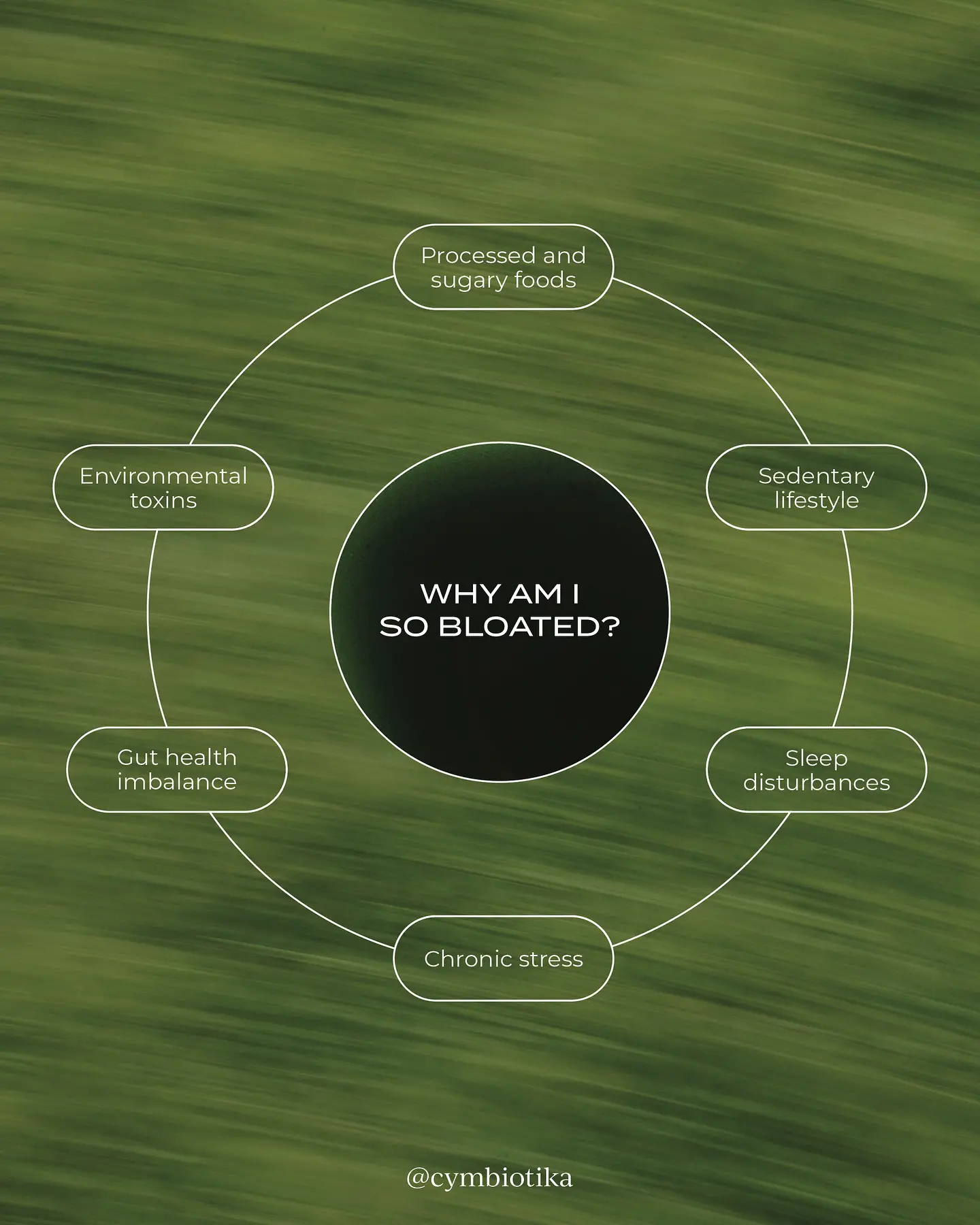 Maintaining balance during the holiday festivities is key to feeling your best! 

Here are a few sim