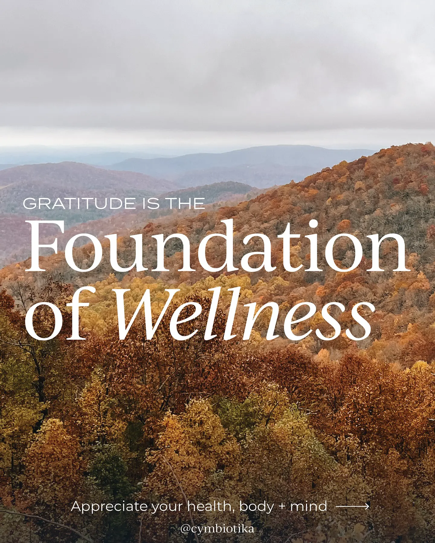 Along with this daily gratitude list, we are also beyond grateful for YOU, our incredible Cymbiotika