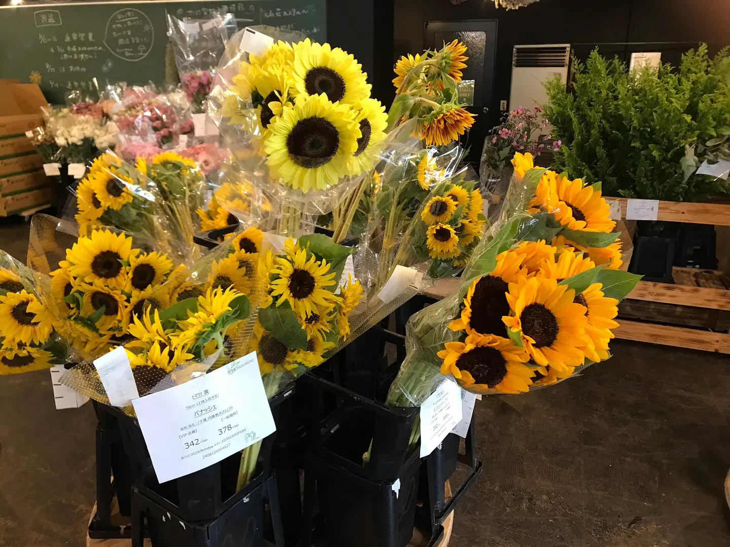 花】saku.to&co（サクトコ）【札幌】