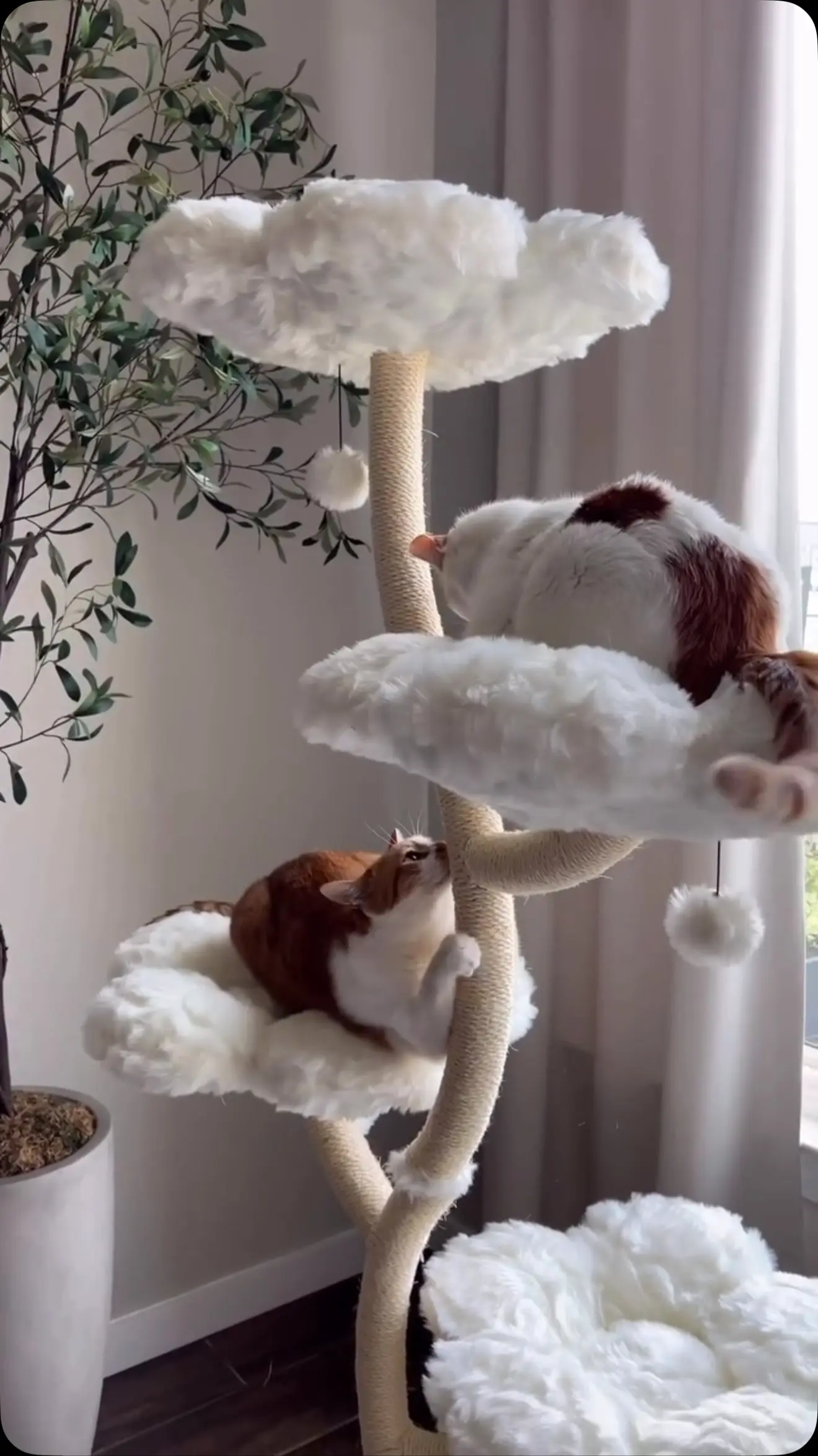 THE SECRET GARDEN - KBS FLORAL CAT MANSION